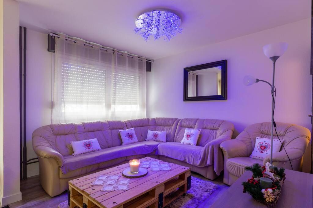 Superbe Appartement Spacieux Avec Parking Gratuit Illzach Екстериор снимка